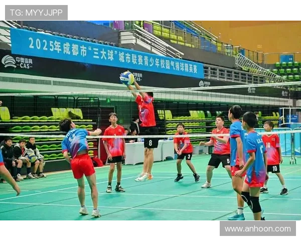 成都排球队比赛经验的创新与变革引发热议